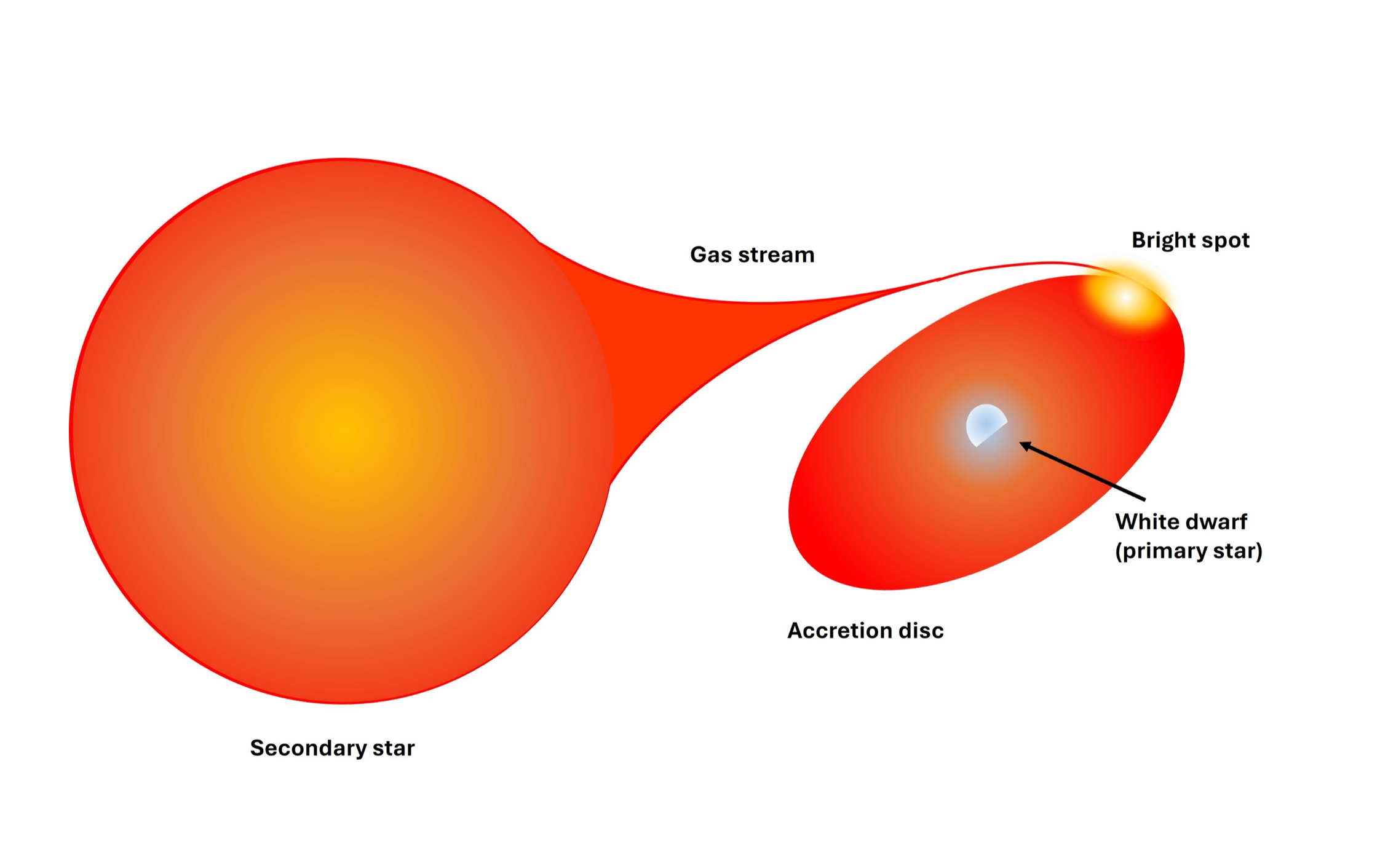 A diagram showing the key features of a cataclysmic variable star.